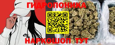 мдпв Анапа