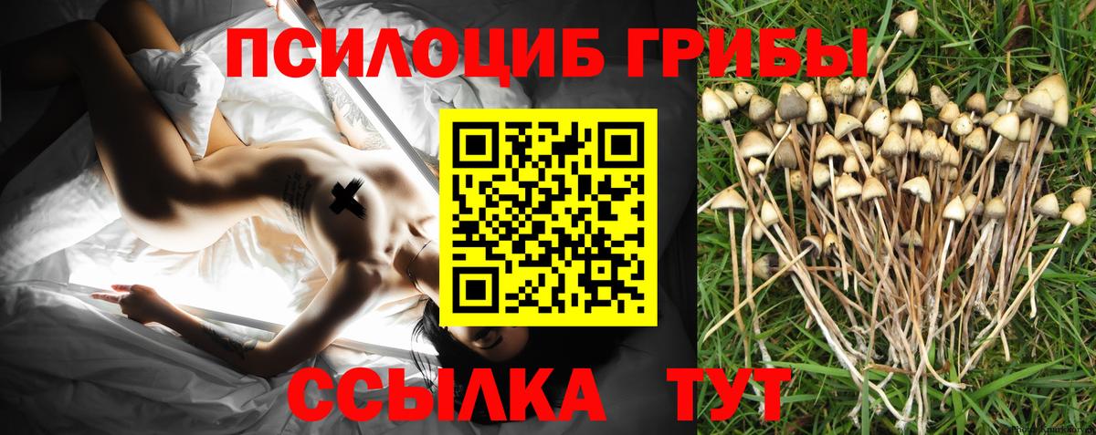 Галлюциногенные грибы мицелий  Галлюциногенные грибы Cubensis  Вход с VPN  Йошкар-Ола 